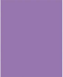  Dekorkarton, 2 oldalas, 50x70cm, 220 g, 10 lap, FOLIA, sötét orgonalila (61221028) - mystock