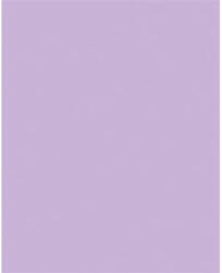  Dekorkarton, 2 oldalas, 50x70cm, 220 g, 10 lap, FOLIA, orgonalila (61221031)