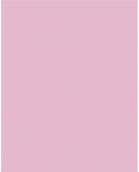  Dekorkarton, 2 oldalas, 50x70cm, 220 g, 10 lap, FOLIA, halvány rózsaszín (61221026) - mystock