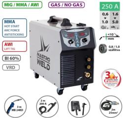 Mastroweld Kft MASTRO MIG-250 XL hegesztőgép (006250F)