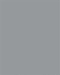 FOLIA Dekorkarton, 2 oldalas, 50x70cm, 220 g, 10 lap, FOLIA, kőszürke (FL61221084) - officepantry