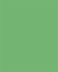 FOLIA Dekorkarton, 2 oldalas, 50x70cm, 220 g, 10 lap, FOLIA, smaragdzöld (FL61221054) - officepantry