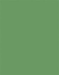 FOLIA Dekorkarton, 2 oldalas, 50x70cm, 220 g, 10 lap, FOLIA, mohazöld