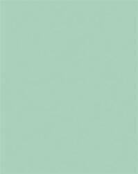 FOLIA Dekorkarton, 2 oldalas, 50x70cm, 220 g, 10 lap, FOLIA, menta (FL61221025) - officepantry