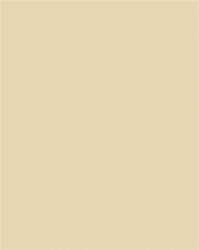 FOLIA Dekorkarton, 2 oldalas, 50x70cm, 220 g, 10 lap, FOLIA, bézs (FL61221010) - officepantry