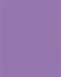 FOLIA Dekorkarton, 2 oldalas, 50x70cm, 220 g, 10 lap, FOLIA, sötét orgonalila (FL61221028) - officepantry