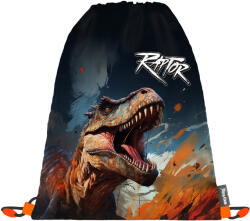 KARTON P+P Tornazsákok Dino Raptor (3-04726)
