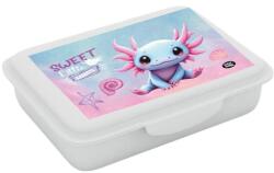KARTON P+P Uzsonnás doboz rekesszel Axolotl (9-36426)