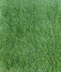 Delta Carpet JAKARTA, Covor Gazon Iarba Artificiala, Verde, 20 mm, Latime 3 m (JAKARTA-20-315)