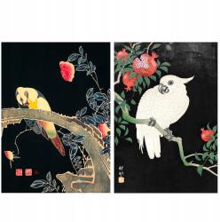  Fali poszter Japán Papagájok Szett 50x70 (plakat japonia papugi ptaki 50x70)