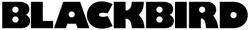 BlackBird Átalakító Adapter HDMI male to DVI female, fekete (BH1635) - wpower