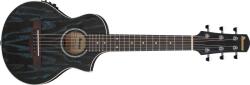 Ibanez EWP16EWB-GAO - kytary