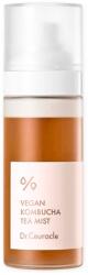 Dr. Ceuracle - Vegan Kombucha Tea Mist 80ml