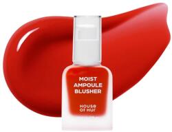 House of Hur - Moist Ampoule Blusher 20ml - #10 Grape Heat