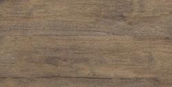 Fineza Burkolat Fineza Adore wood brown 30x60 cm matt ADORE36WBR (ADORE WOOD BROWN RETT.)