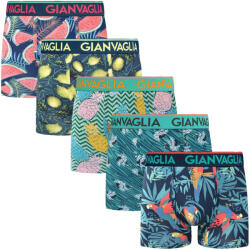 Gianvaglia 5PACK boxeri bărbați Gianvaglia multicolori (GVG-5072) XXL (184909)