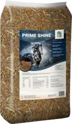 ALL-WIN Horse Prime Shine - 15 kg