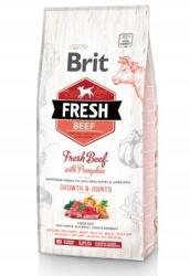 Brit Fresh Marhahúsos Tökbeles Puppy Large 12kg