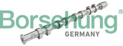 Borsehung Vačkový hriadeľ Borsehung B13032 (B13032)