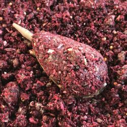 LK Baits Iq Method Ready Mix Exotic 600g (8595602016938)