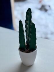 ZD Trading Kaktusz cserépben Mesterséges Dekoráció 14 cm (3009091)