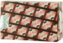 Ashika 55-01-119 Fékpofakészlet, rögzítőfék