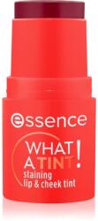 essence WHAT A TINT! multifunkcionális smink ajkakra és arcra árnyalat 20 Grapefruit Bliss 5 g