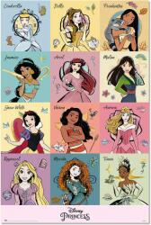 Erik Poster Erik Disney: Disney Princess - Brush Strokes (GPE5773)