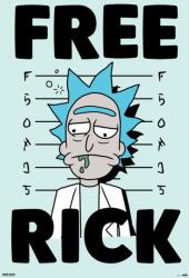 Erik Poster Erik Animation: Rick and Morty - Free Rick (GPE5251)