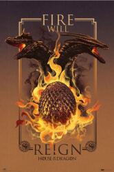 Erik Poster Erik Television: House of the Dragon - Fire Will Reign (GPE5856)
