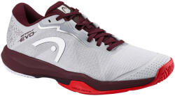 Head Încălțăminte de tenis pentru bărbați Sprint Evo 4.0 Men LGRD EUR 43