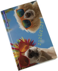 Realsystem Diák zsebkönyv REALSYSTEM papírborító 125x205mm summer 2026-2027 (5313-69) - robbitairodaszer