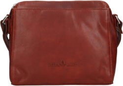 Greenwood Geantă de mână crossbody din piele Greenwood Melony - coniac