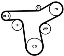 Continental Ctam Set curea transmisie cu caneluri CONTINENTAL CTAM 7PK1370K1 (7PK1370K1)