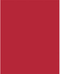  Dekorkarton, 2 oldalas, 50x70cm, 220 g, 10 lap, FOLIA, tűzpiros (61221020) - nyomtassingyen