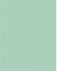  Dekorkarton, 2 oldalas, 50x70cm, 220 g, 10 lap, FOLIA, menta (61221025) - nyomtassingyen