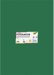  Dekorkarton, 2 oldalas, 50x70 cm, 300 g, 10 lap, FOLIA, fenyőzöld (6158) - nyomtassingyen