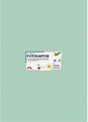  Dekorkarton, 2 oldalas, 50x70 cm, 300 g, 10 lap, FOLIA, menta (6125) - nyomtassingyen