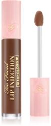 Too Faced Cosmetics Lip Injection Lip Gloss hidratáló ajakfény árnyalat Chocolate Cream Pie 6.5 ml