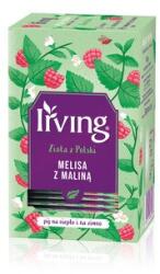 IRVING Melissza tea málnával, IRVING, 20 filter, 30 g