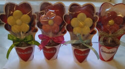  Chocofive belga tejcsokoládé virág 50 g