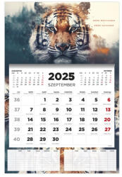 Kalendart 2025/2026 Tiger 16 havi diák falinaptár (26D7620-000) - tintasziget