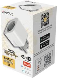 Entac Adaptor priză Smart contor consum WIBLE Entac app control Tuya Alexa Google Assistant (ES-SSAPM-WIBLE)