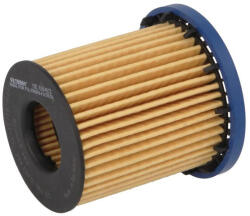  OE 684/2 Filtron Olajszűrő (OE6842)