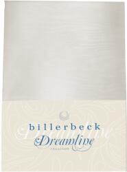 Billerbeck TÖRÖLKÖZŐ - alvascenter - 13 200 Ft