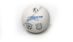 Plasto Ball Kft Kézilabda gyerekeknek 1-es 15, 9 cm átmérő (02079)