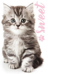 TipTrade Pamut frottír törölköző 30x50 cm - Kocúrik Mourek (T-456985)