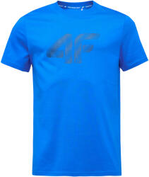 4F Tshirt Harry (4fwmm00ttshm3342-33s)