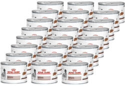 Royal Canin Hepatic 24x200 g