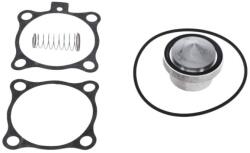 ALUP 2901320203-kit mentenanta supapa aspiratie (2901320203)